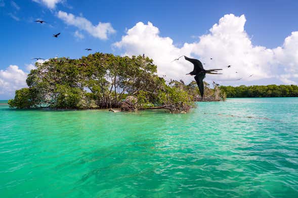 Excursão a Punta Allen