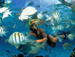 Snorkel em Xel-Ha